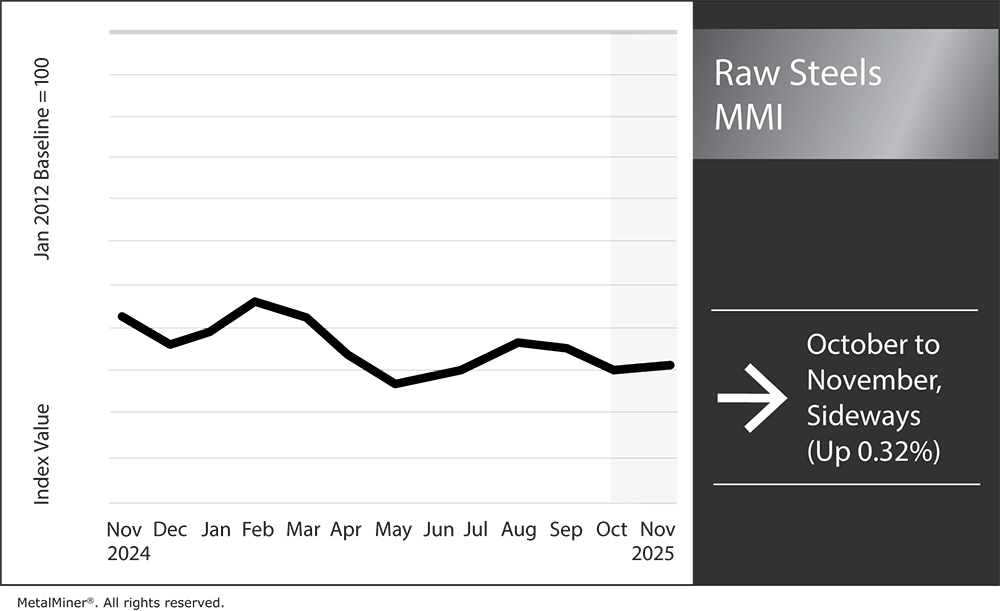Raw-Steels-MMI-Nov